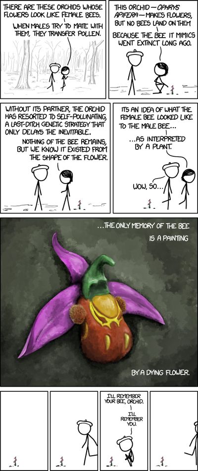 xkcd bee orchid